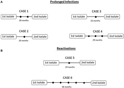 Mycobacterium tuberculosis Acquires Limited Genetic Diversity in Prolonged Infections, Reactivations and Transmissions Involving Multiple Hosts